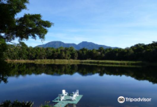 Lagunas Adventures on The Janson Coffee Farm景点图片