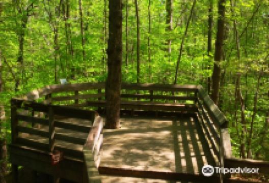 Hemlock Bluffs Nature Preserve景点图片