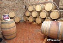 Celler Vermunver景点图片