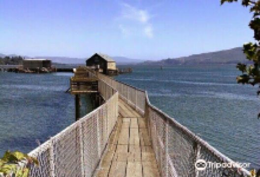 Pier's End景点图片