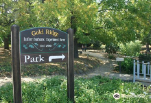 Luther Burbank's Experiment Farm景点图片