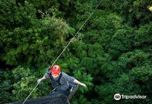 Rotorua Canopy Tours | Zipline Experience景点图片