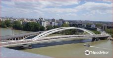 Pont Raymond Barre-里昂