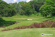 Mimosa Plus Golf Course景点图片