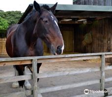 Reddish Vale Farm-斯托克波特