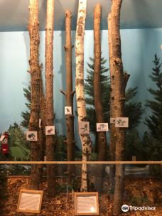 Wisconsin Logging Museum-欧克莱尔