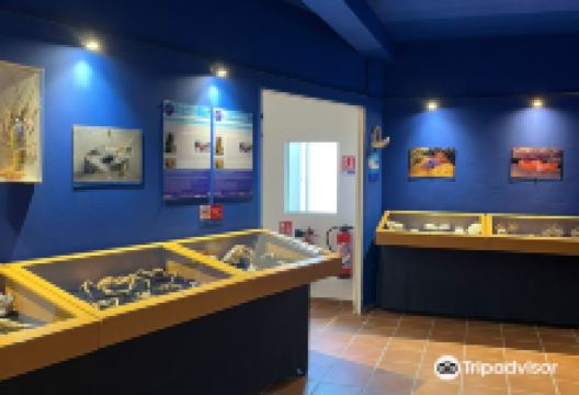 Le Musée de la Mer景点图片