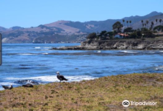 Eldwaylen Ocean Park景点图片