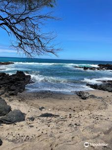 Lava Fields-茂宜县