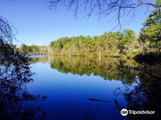 Sesquicentennial State Park-里奇兰县