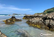 Ocean Beach景点图片