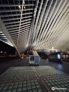 Gare de Liege-Guillemins-列日