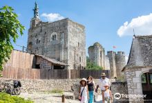 La Forteresse de Montbazon景点图片