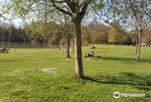 Burgerwaldsee景点图片