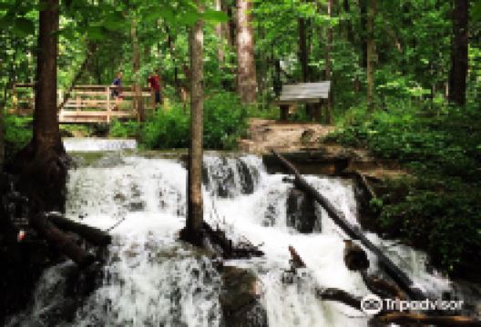 Parkville Nature Sanctuary景点图片