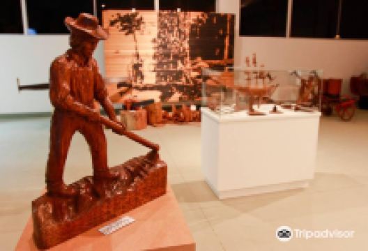 Willy Barth History Museum景点图片