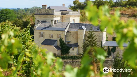 Château de Parnay