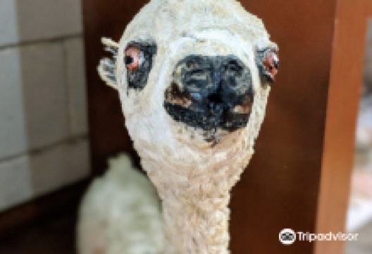 Museo Fray Enrique Mideros景点图片