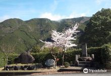 Mikubi Noseishi Trace & The Lastt Battlefield of Second Southern Court Monument景点图片
