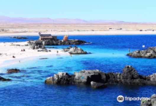 Bahia Inglesa景点图片