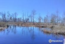 Griffis Fish Camp景点图片
