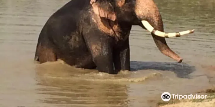 大象奇跡觀光農場