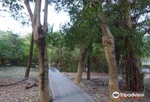 原生植物园景点图片