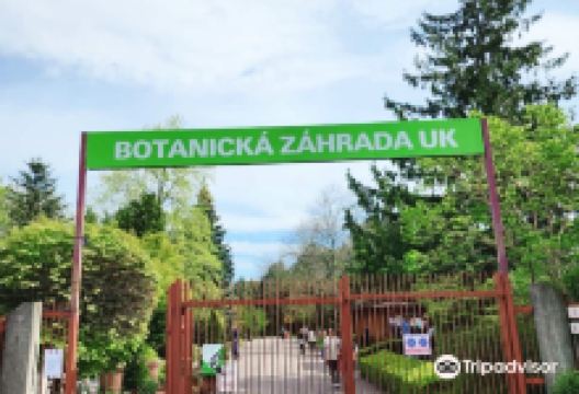 Botanical Garden Teplice景点图片