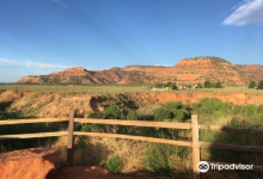 Levi Stewart Memorial Park景点图片