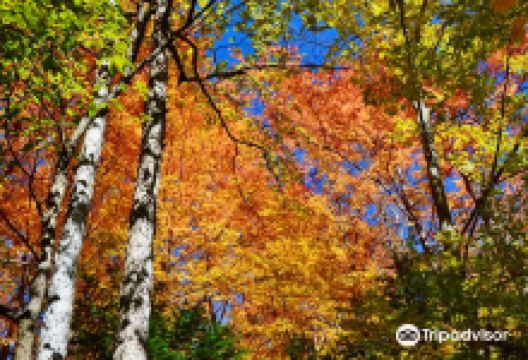 魔鬼峡谷省立公园景点图片