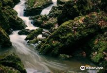 Brush Creek Canyon State Preserve景点图片