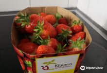 Küppers Erdbeeren景点图片