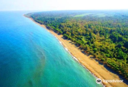 Amazon Tabiat Parki景点图片