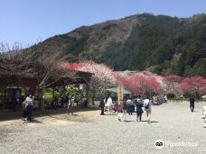 Sonohara Village-阿智村