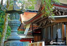 鹿岛神宫景点图片