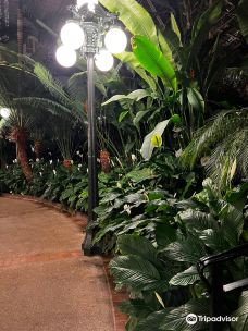 Opryland Hotel Gardens-纳什维尔