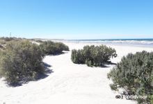 Playas Doradas景点图片
