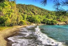 Katrancı Bay Nature Park景点图片