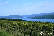 Finger Lakes Wine Country-科宁
