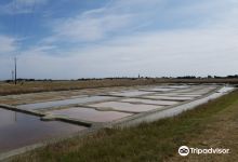 Marais salant Les Valencières景点图片