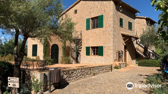 La Casa de Robert Graves