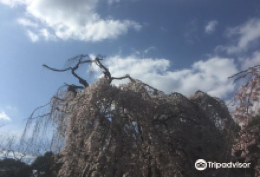 室城神社景点图片