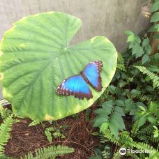 Casa delle Farfalle-米兰马瑞提那