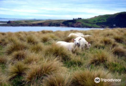 Slope Point景点图片