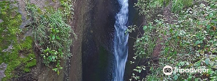 980644211