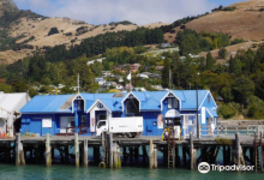 Blue Pearls Gallery购物图片