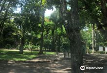 Jardin Botanico Unacar景点图片