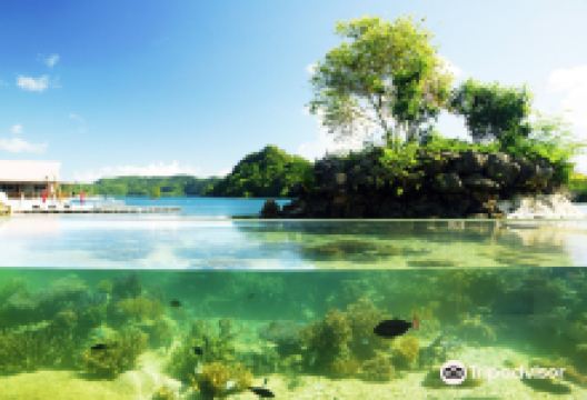 帕劳水族馆景点图片