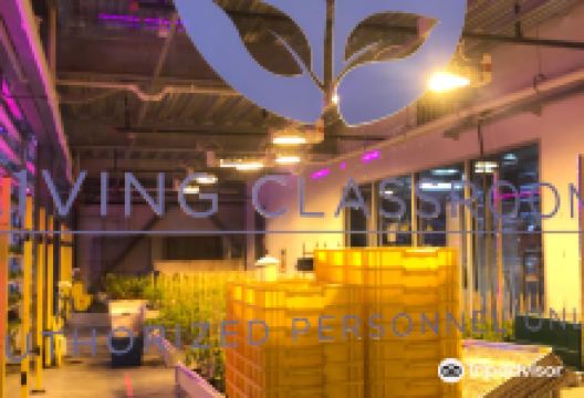 Vertical Harvest Farms景点图片