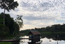 Reserva Natural Tanimboca景点图片